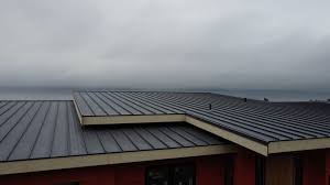 Best Solar Panel Roofing Installation  in Beaumont, TX